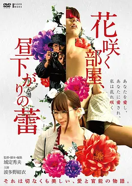 8090影视电影县城来信海报