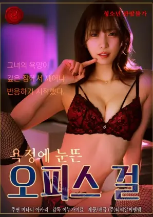 8090影视电视剧北纬三十度海报